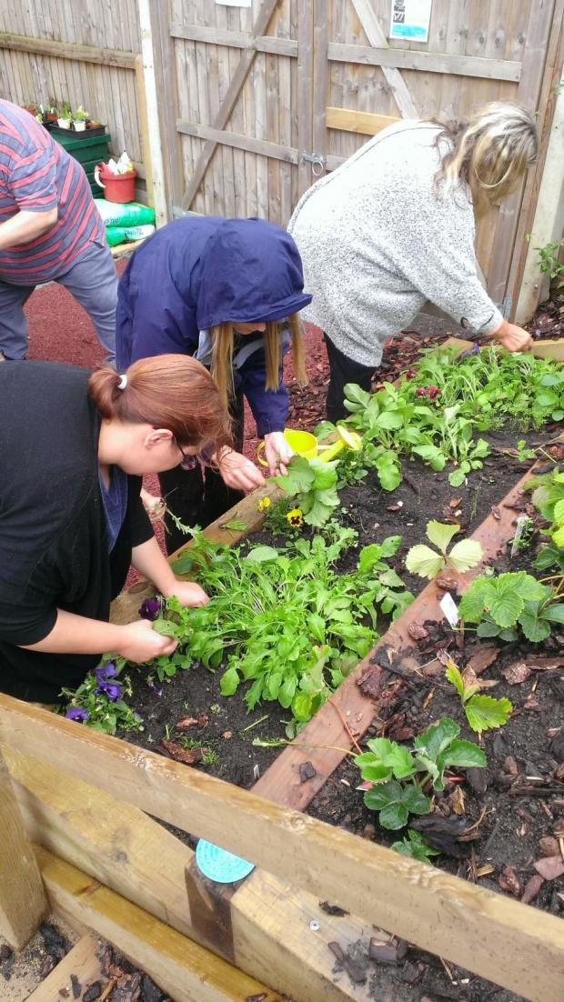 Maintaining a raised plant bed