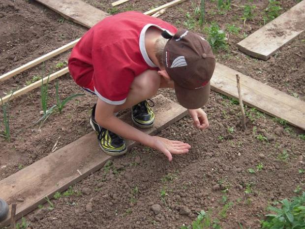 boy sowing seeds