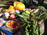 allotment produce