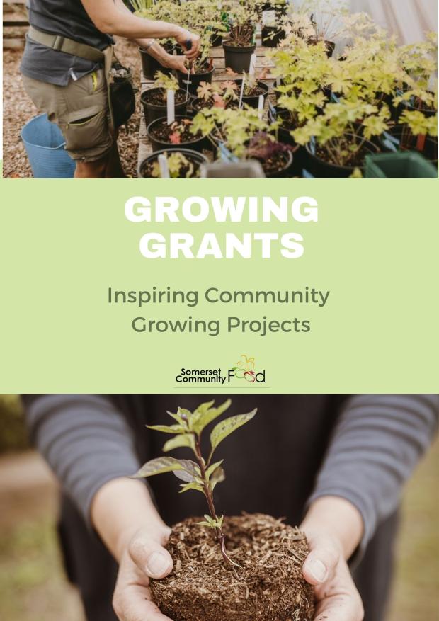 Growing Grants: Inpiring Community Growing Projects report cover - person holding plant