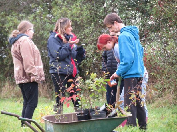 Volunteers with wheelbarrow full of [plants