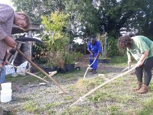 group of people scything grass