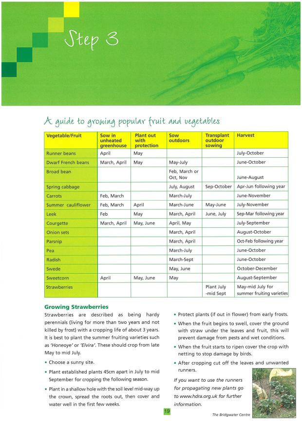 Step 3 - A guide to growing popular fruit and vegetables