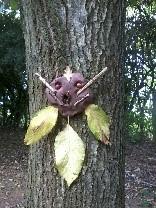 handmade clay face stuck to tree bark