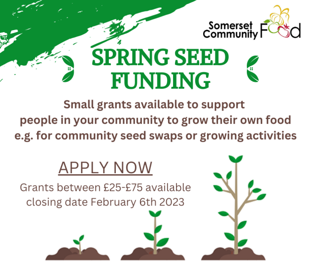 Flyer for Spring Seed Funding showing seeds growing