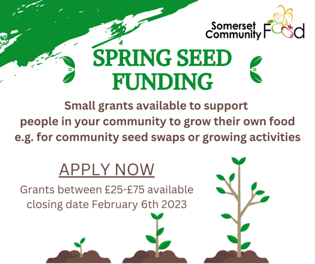 Flyer for Spring Seed Funding showing seeds growing 