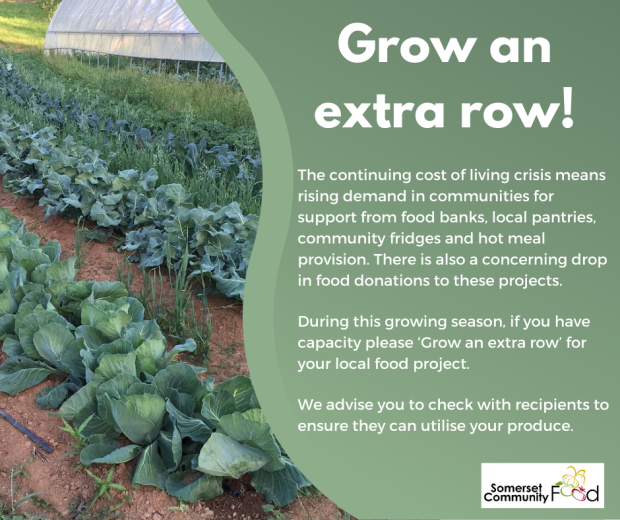 Grow an extra row flyer - row of cabbages and text