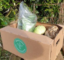 vegetable box with cabbage, lettuce and greens