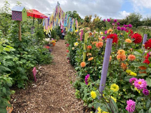 Skool Beanz allotment colourful dahlias and garlands