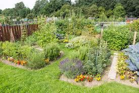 Wanstrow community allotment group site