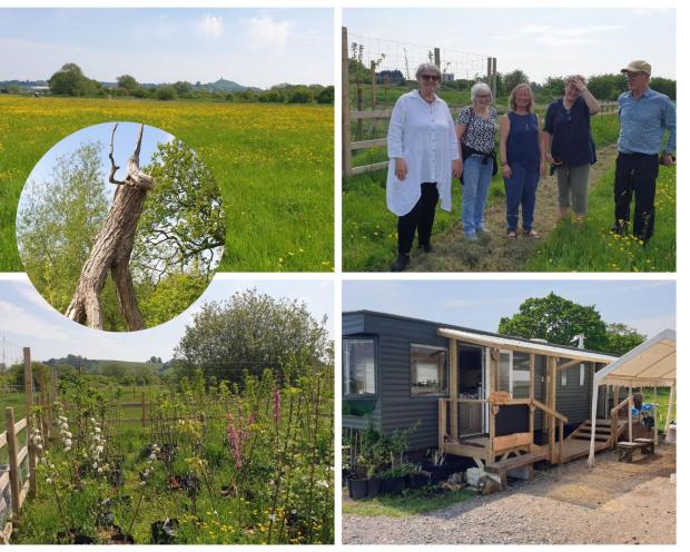 collage of photos from Bridies farm
