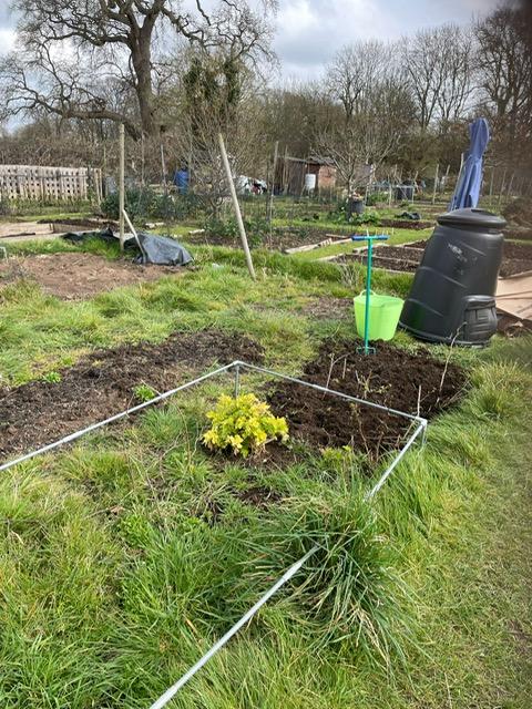 Trull garden beds