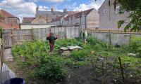 picture of walled garden 