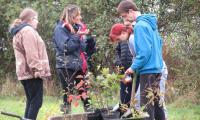 Volunteers with wheelbarrow full of [plants 