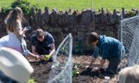 teenagers planting out plants in the ground