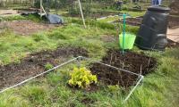 Trull garden beds
