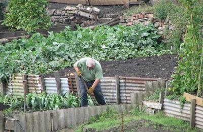 allotments