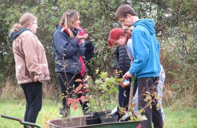 Volunteers with wheelbarrow full of [plants 