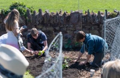 teenagers planting out plants in the ground