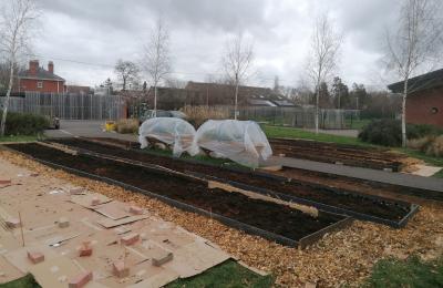 photo of garden showing long raised growing beds filled with compost