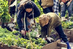 2 people growing veg in raised bed