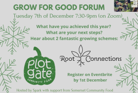 Grow for good forum flier