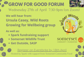 green forum flyer with line up (see text)