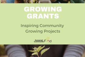 Growing Grants: Inpiring Community Growing Projects report cover - person holding plant