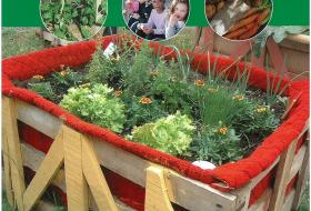 Cover of Growing resource pack - home made raised bed with salad growing it