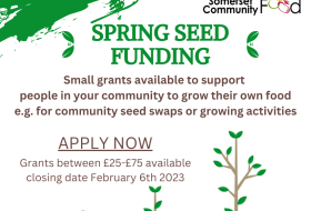Flyer for Spring Seed Funding showing seeds growing 