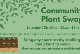 community plant swap flier - with image of seedlings growing