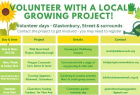Volunteer with a Growing project flyer Glastonbury