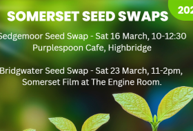 somerset seed swaps 2024 flyer with seedlings 