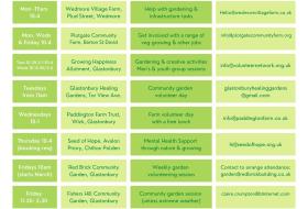 Volunteer with a local growing project poster