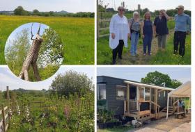 collage of photos from Bridies farm