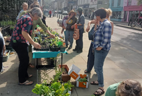 Community plant swap - plants on table and people looking at them
