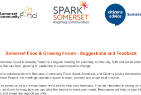 screenshot of forum survey front page